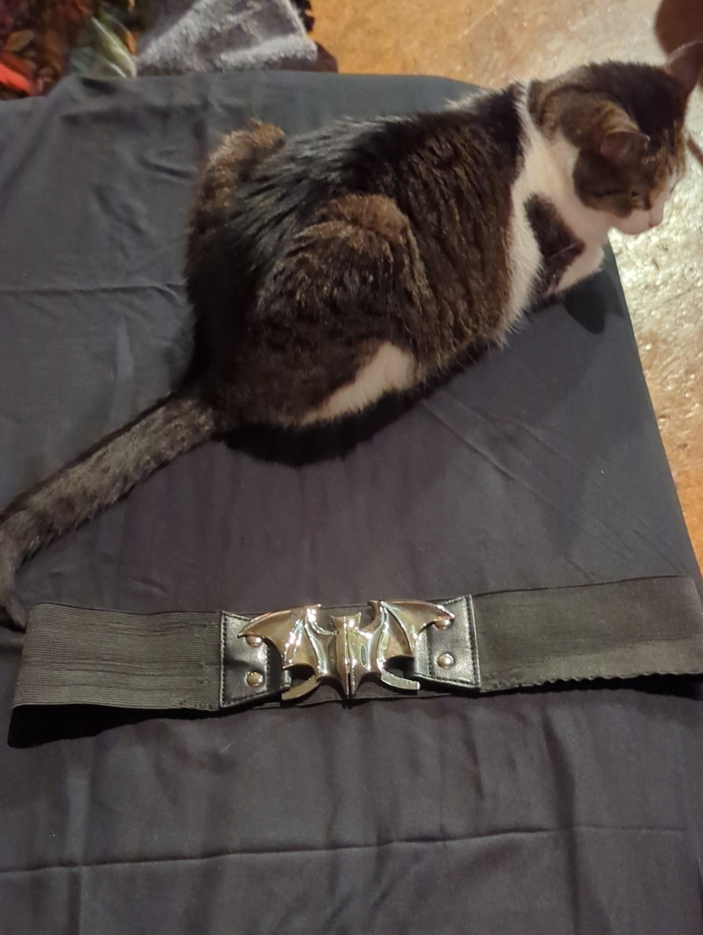 Bat Elastic Waist Belt Plus Size